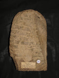 Gandhara carved schist stele of Buddha with attendants. - asianartlondon